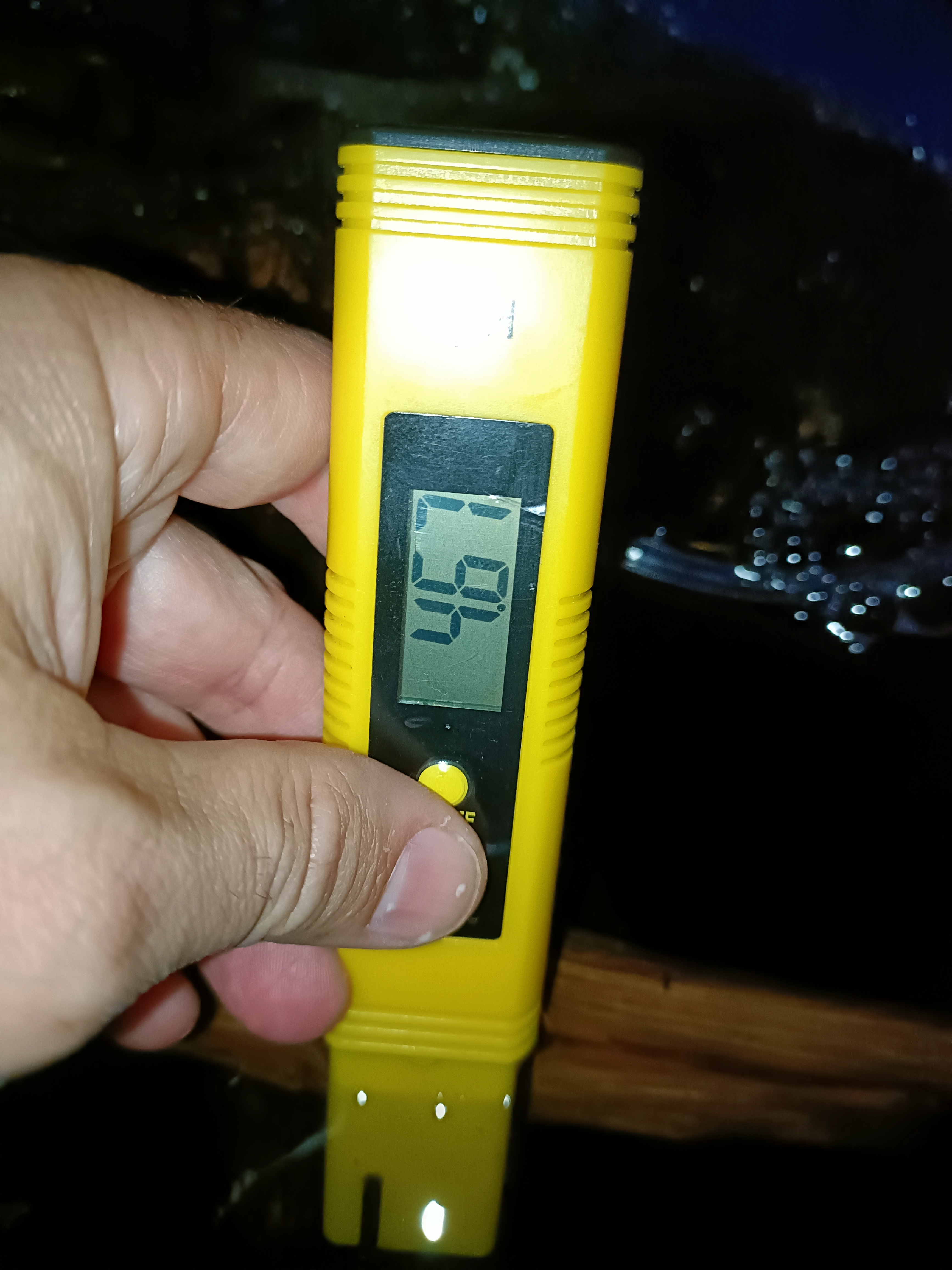 1000027131.jpg