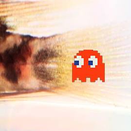 13082522_586903441466335_5836130438937497104_n.jpg