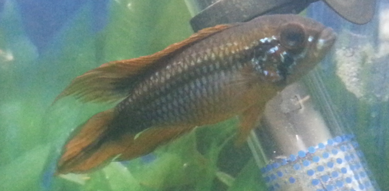 20121129_104332.jpg