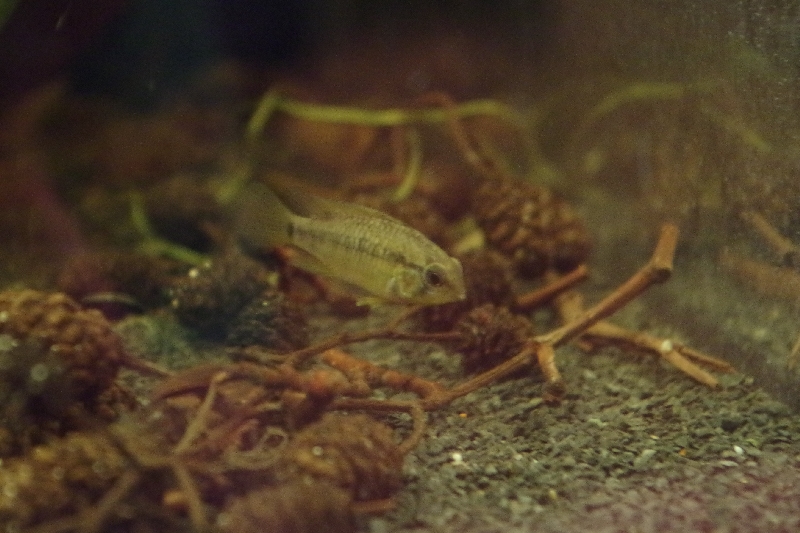 2013 - 12 - 31 (001).jpg