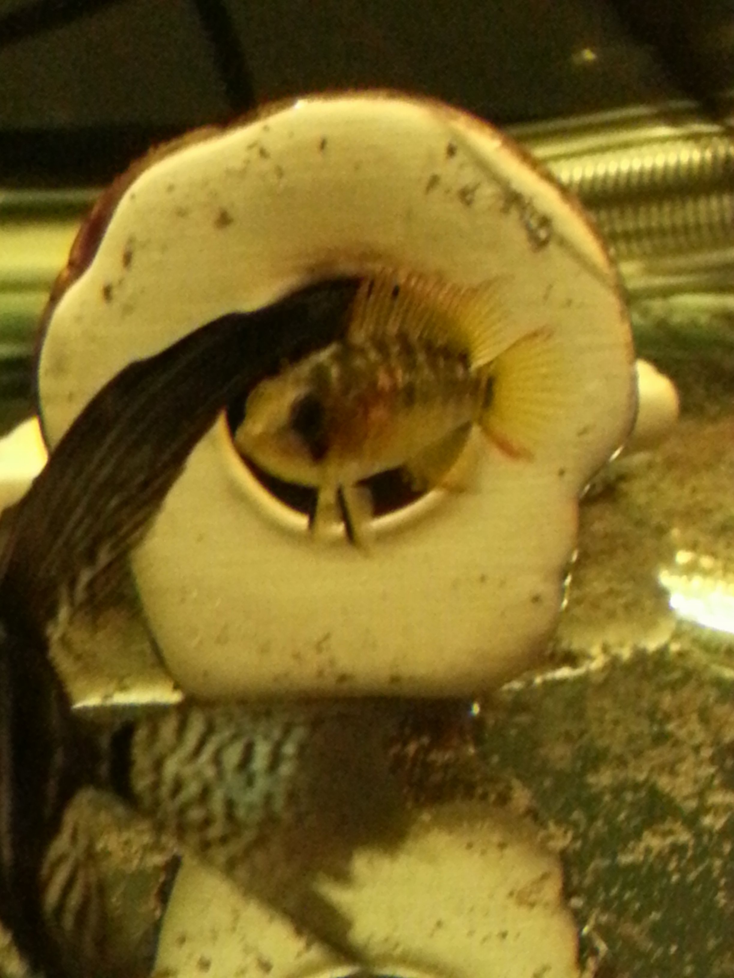 20141225_161046.jpg