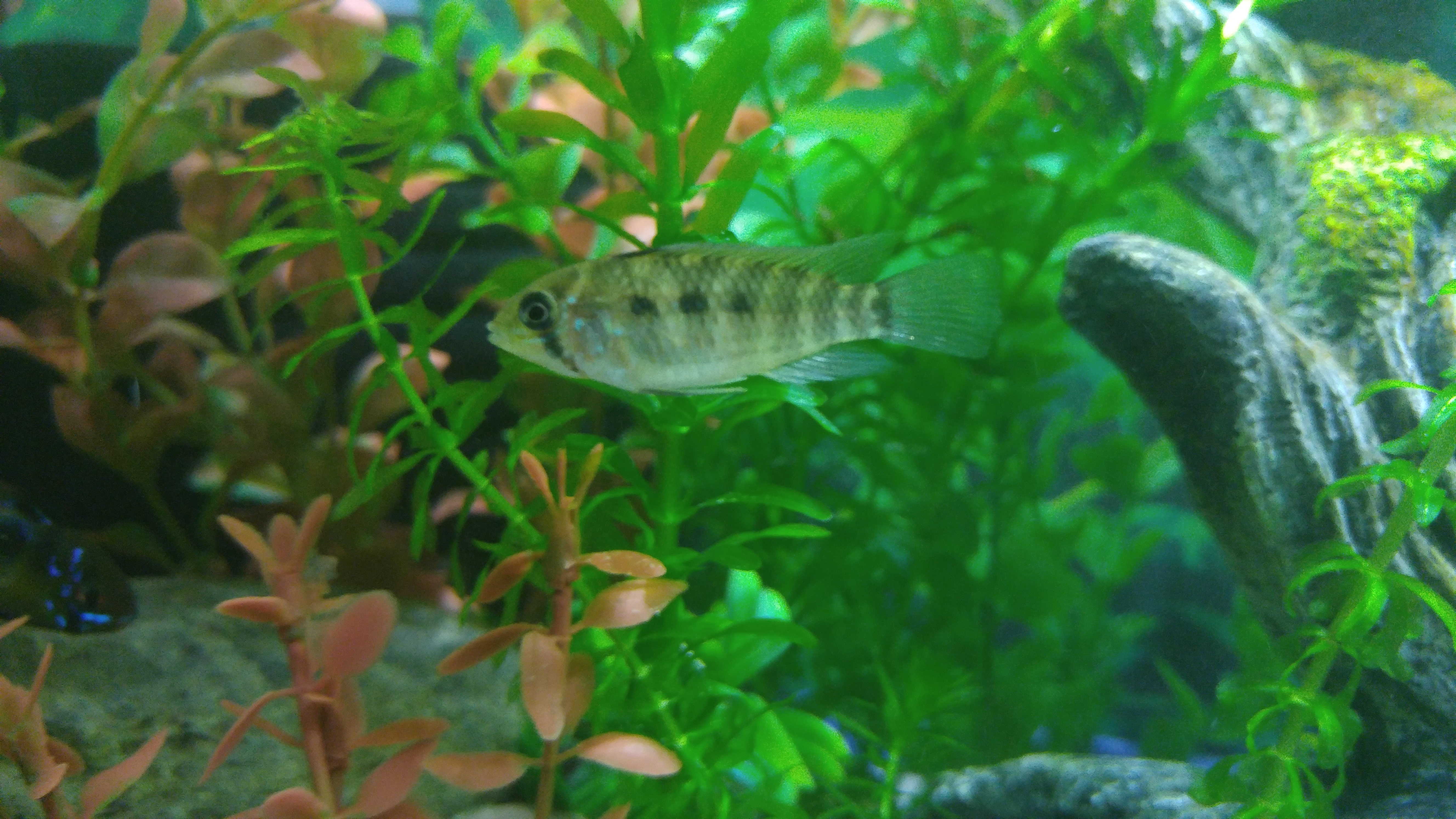 20160510_012847.jpg