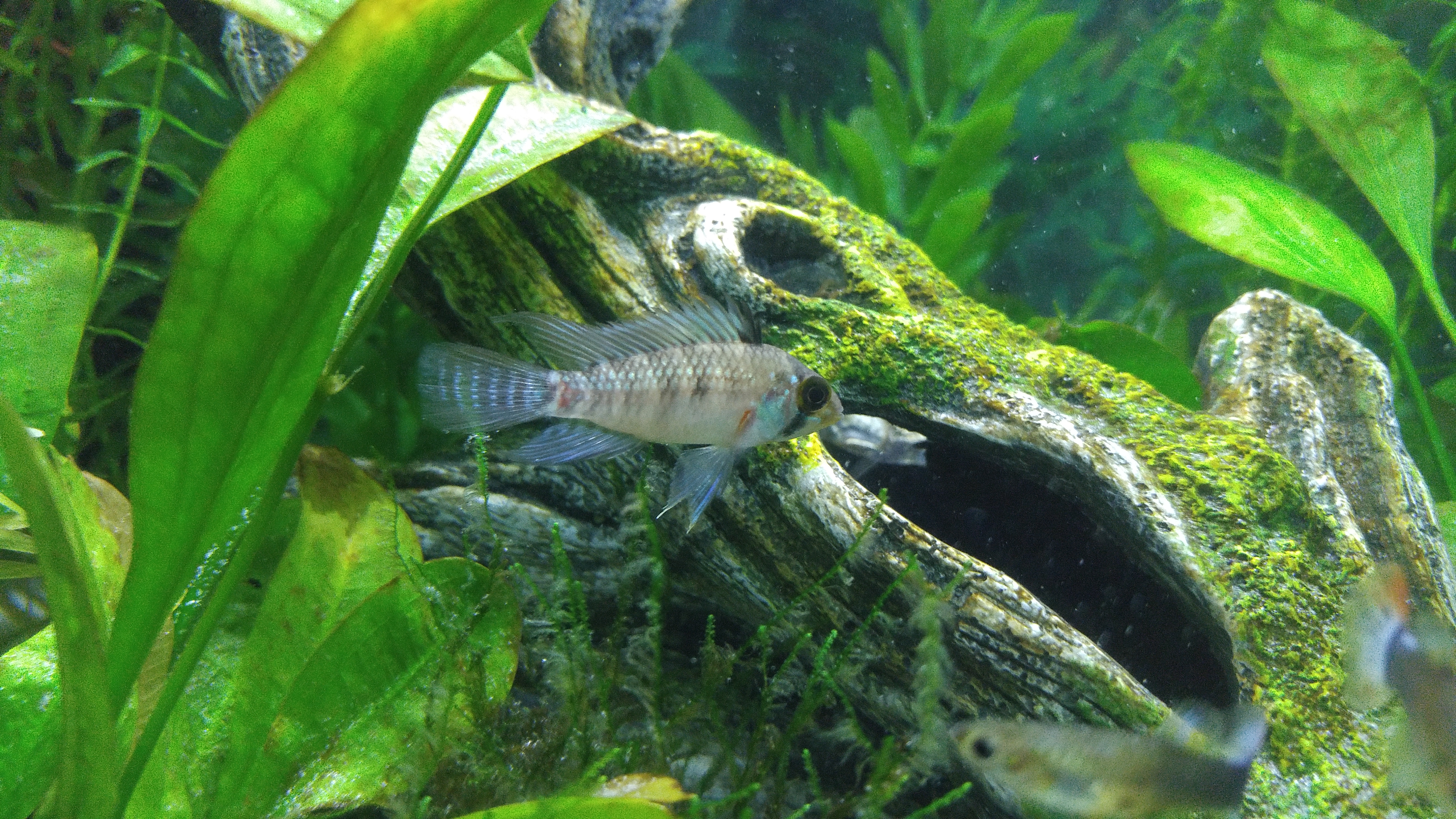 20160618_161947.jpg