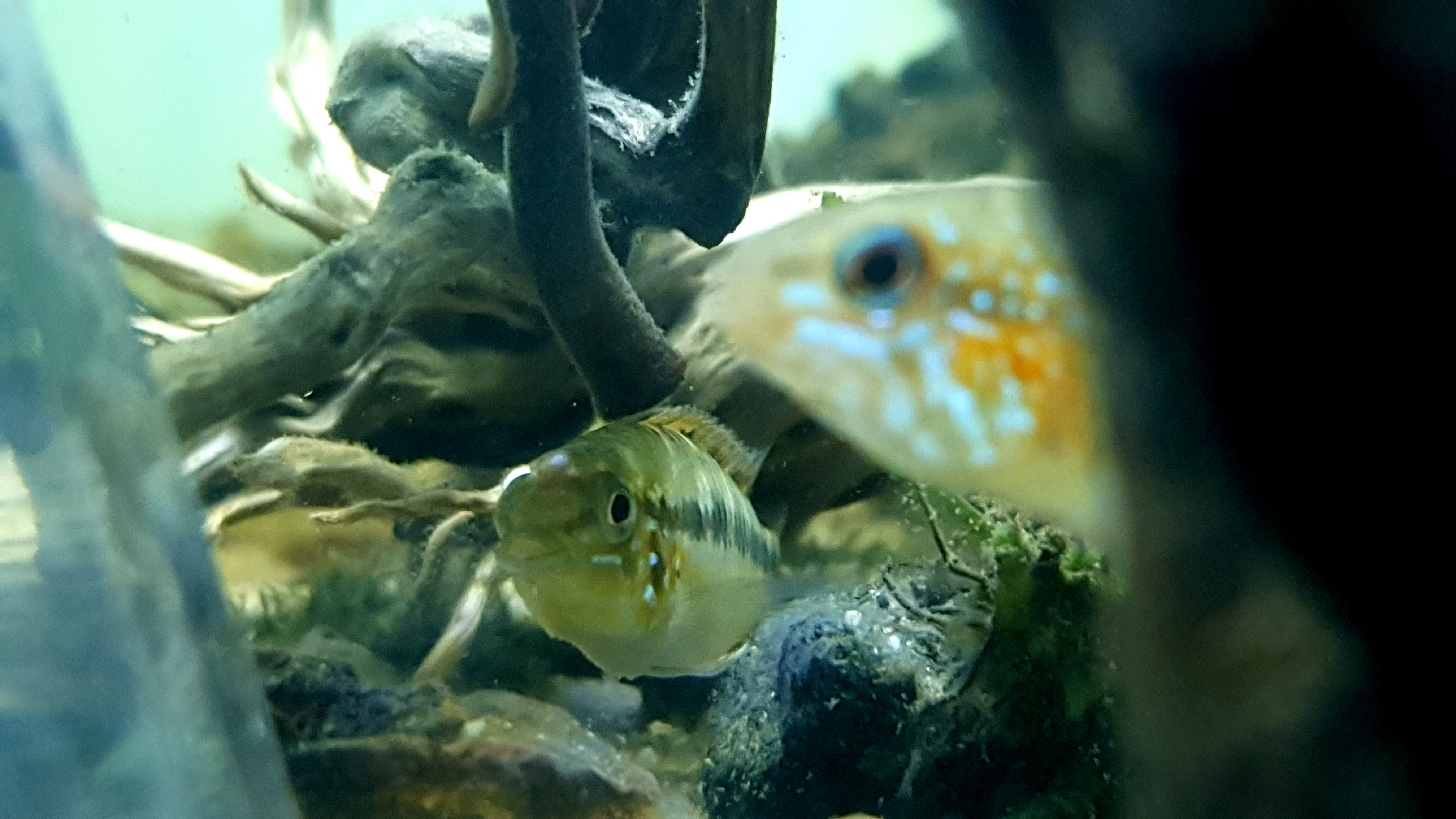 20250713_171533.jpg