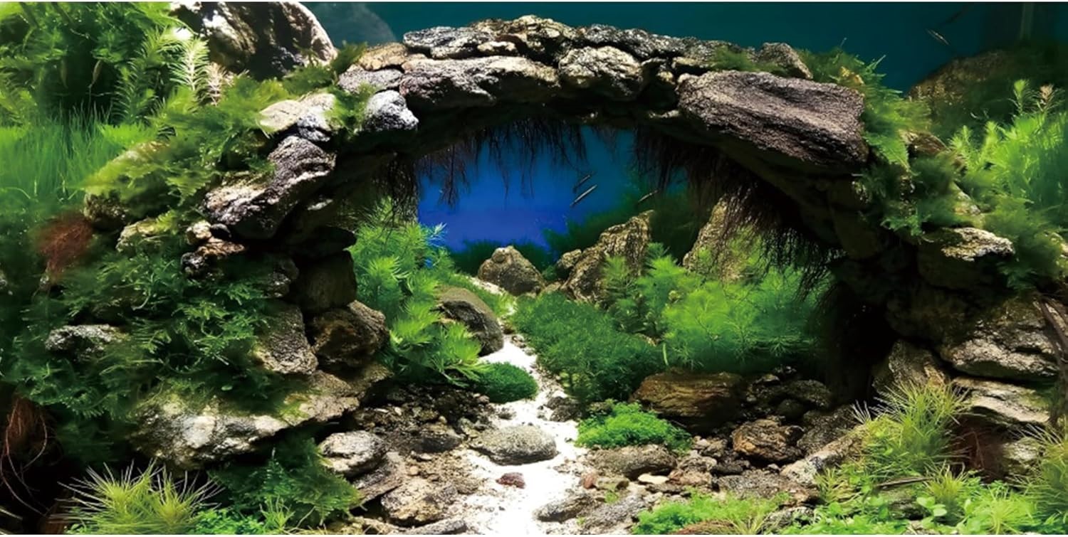 Arch Background.jpg