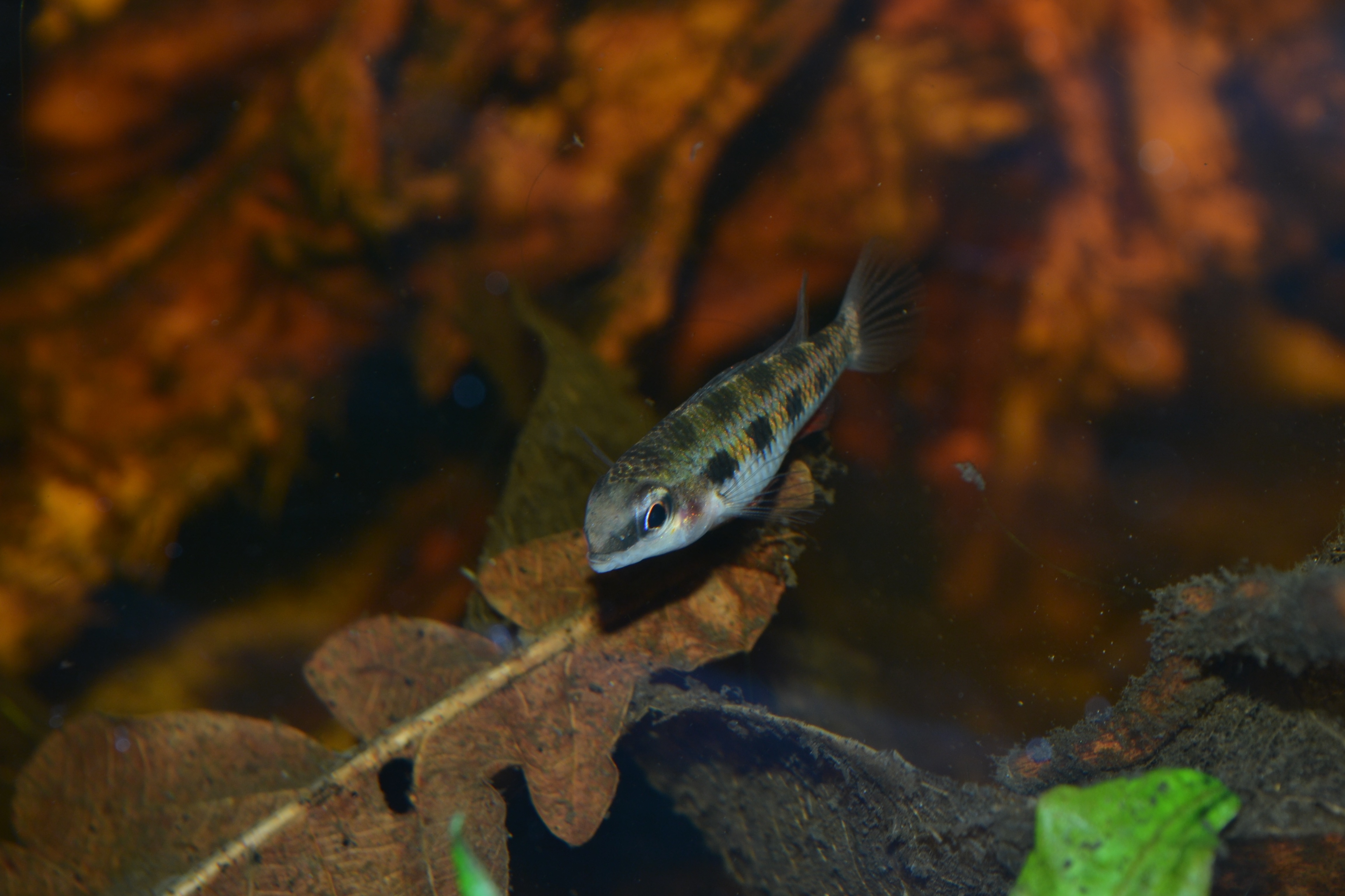 DSC_0779.jpg