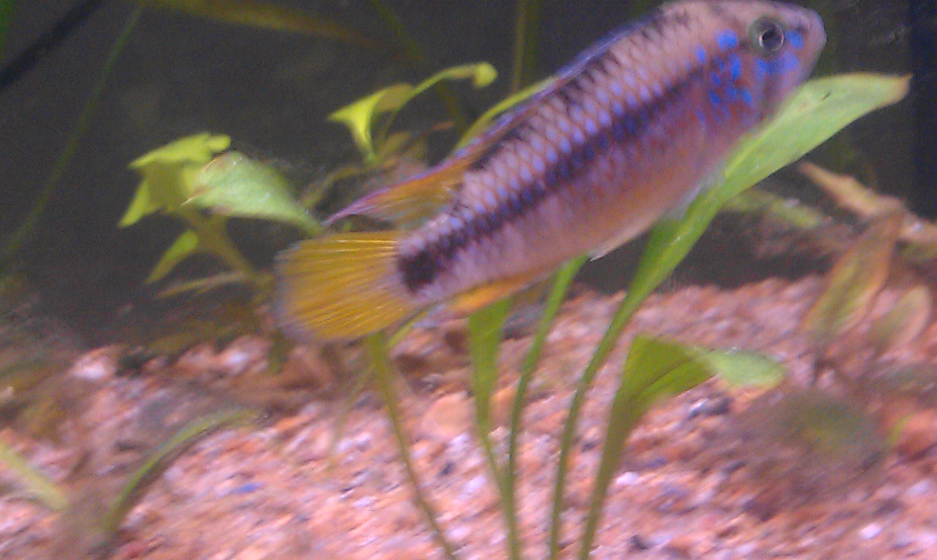 IMAG0143.jpg