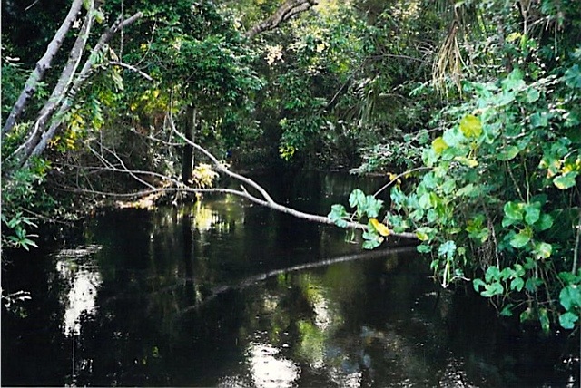 Image 1.jpg