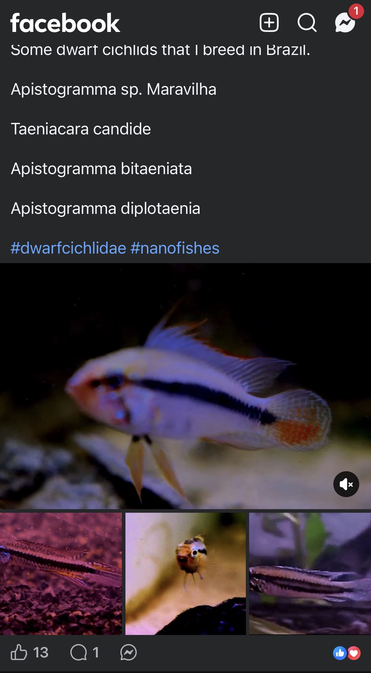 IMG_3567.jpeg