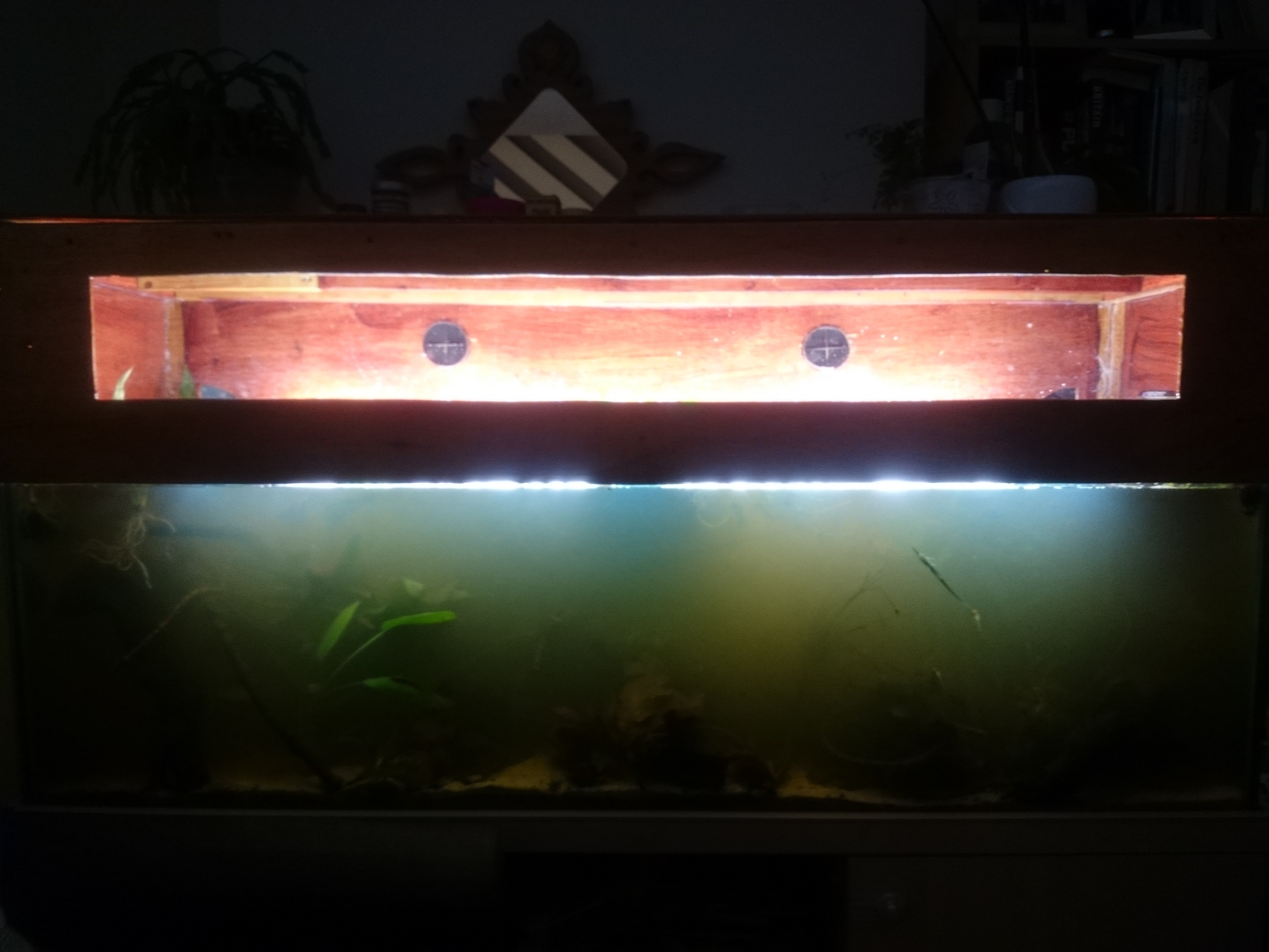 new tank 2.jpg