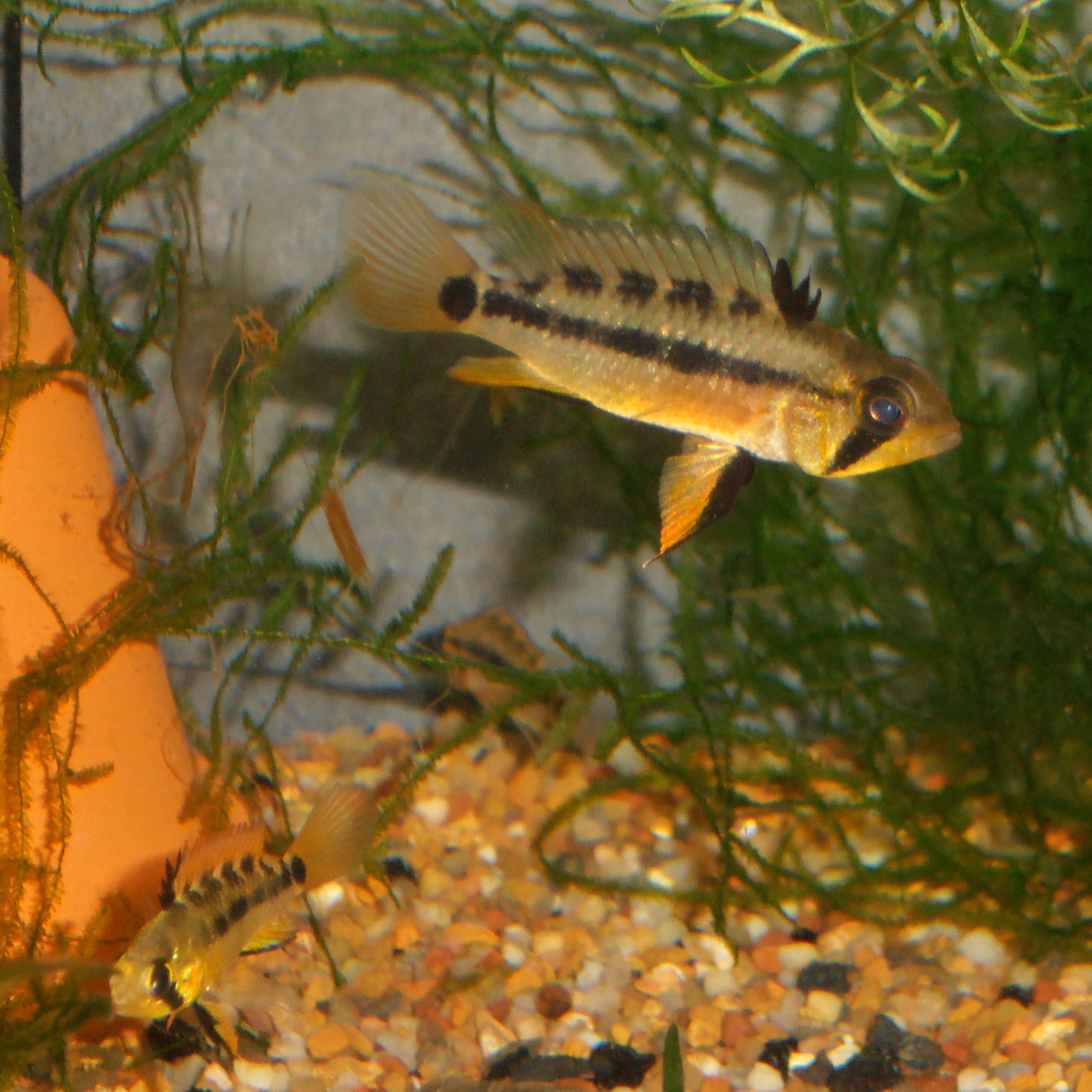 PB270403.JPG