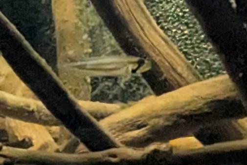 PXL_20251127_181630570-cropped.jpg