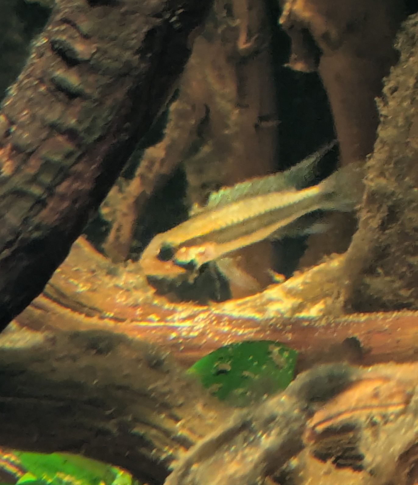 PXL_20261009_123133212-cropped.jpg