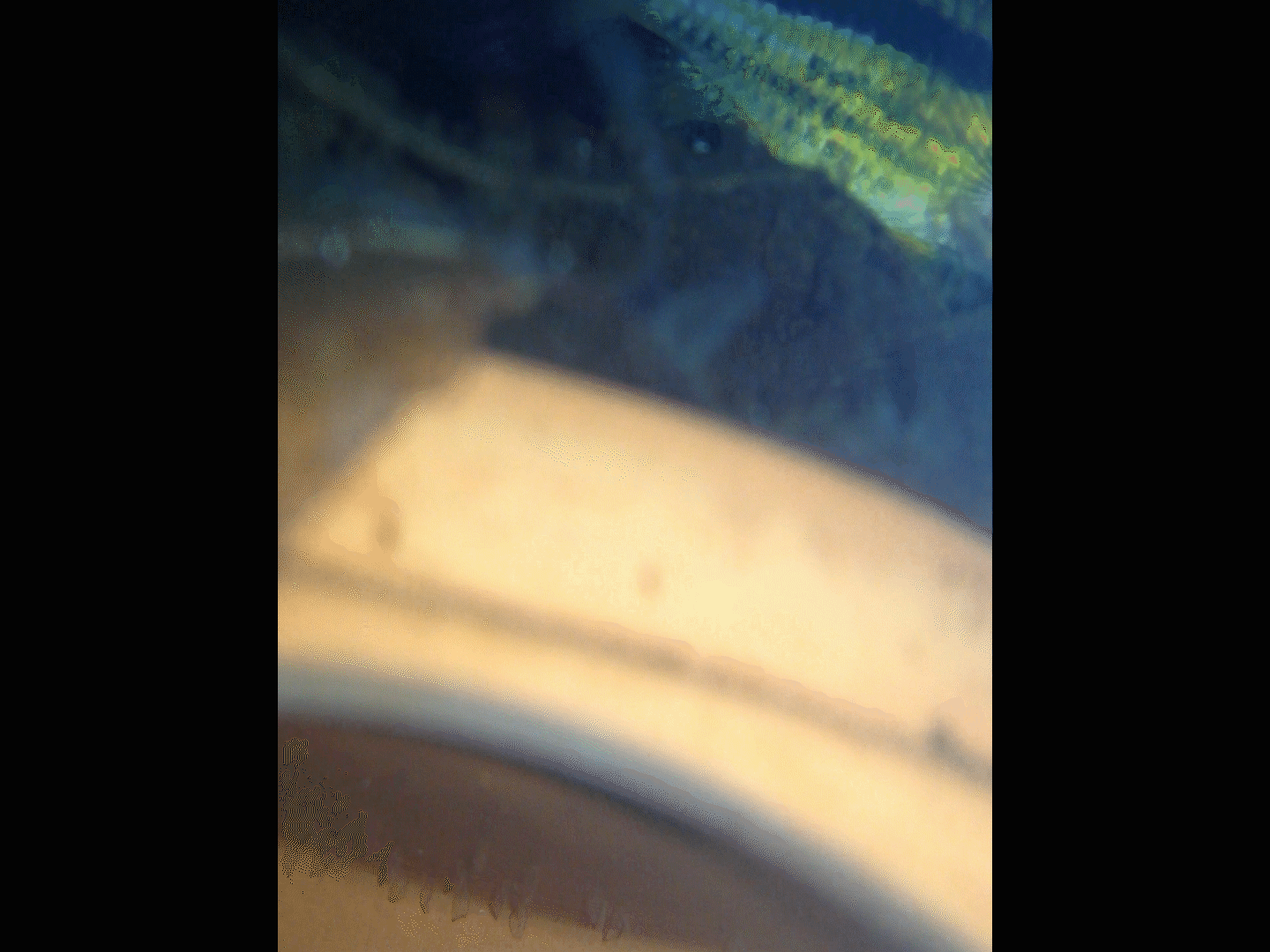 Sequence 01.Still001.gif