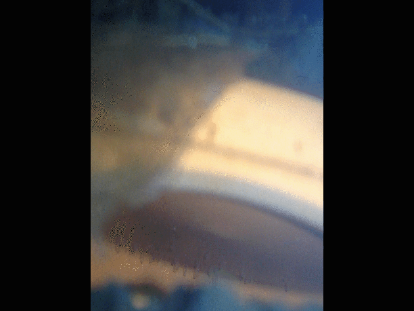 Sequence 01.Still002.gif