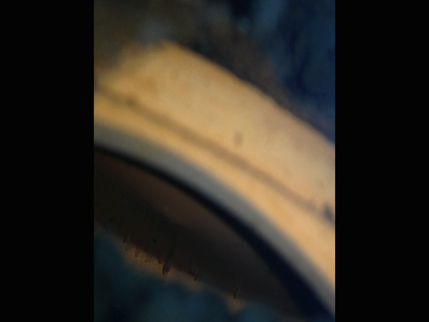 Sequence 01.Still005.gif