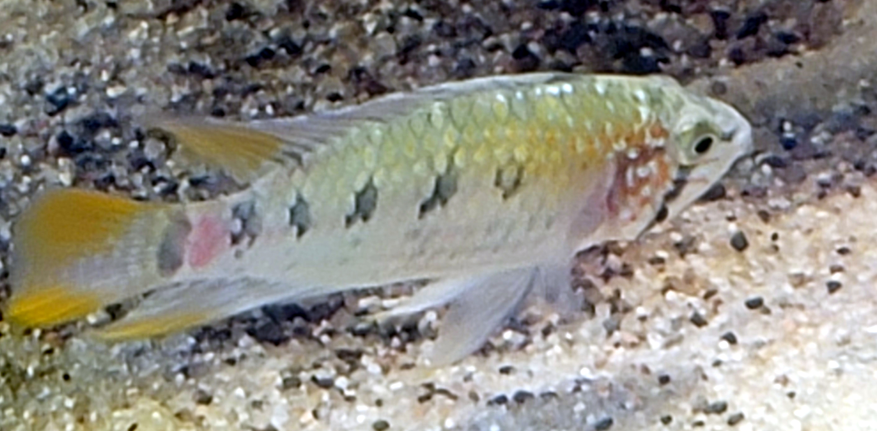 w1.jpg
